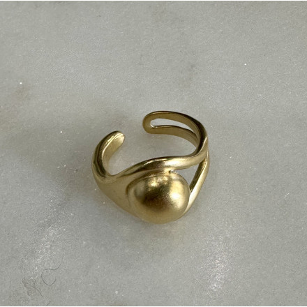 BAGUE CHEVALIERE OSMOSE CLARIS VIROT